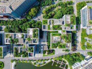 zielone dachy, miasto